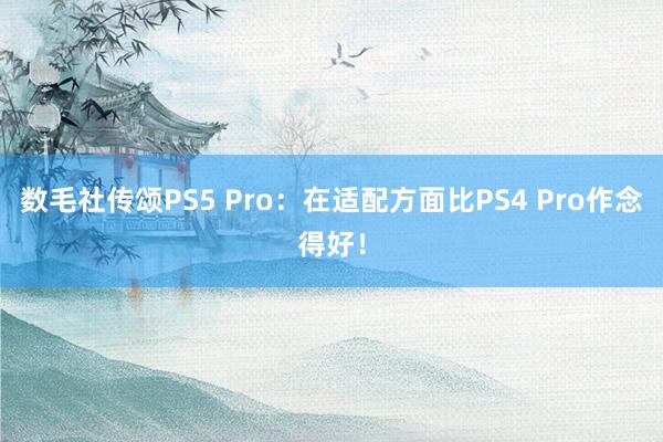 数毛社传颂PS5 Pro：在适配方面比PS4 Pro作念得好！