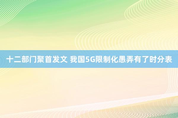 十二部门聚首发文 我国5G限制化愚弄有了时分表