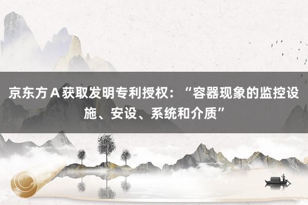 京东方Ａ获取发明专利授权：“容器现象的监控设施、安设、系统和介质”