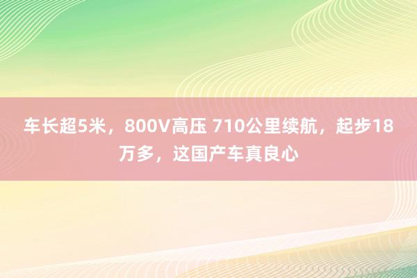 车长超5米，800V高压 710公里续航，起步18万多，这国产车真良心