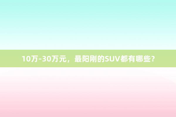 10万-30万元，最阳刚的SUV都有哪些？