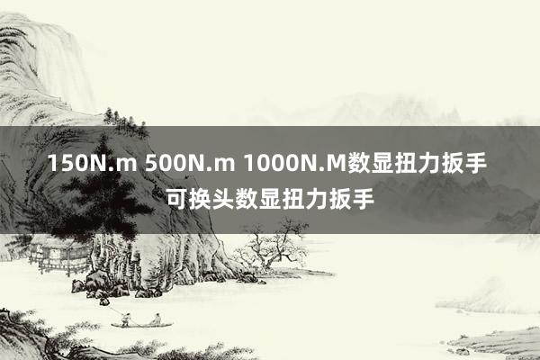 150N.m 500N.m 1000N.M数显扭力扳手 可换头数显扭力扳手