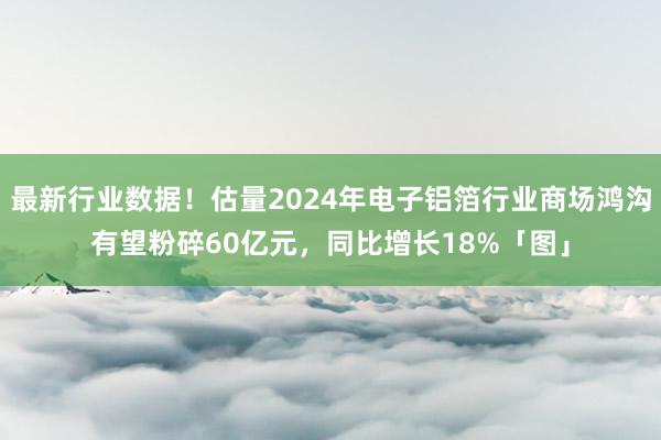 最新行业数据！估量2024年电子铝箔行业商场鸿沟有望粉碎60亿元，同比增长18%「图」