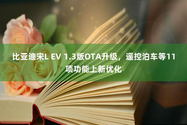 比亚迪宋L EV 1.3版OTA升级，遥控泊车等11项功能上新优化