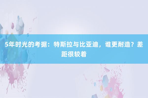 5年时光的考据：特斯拉与比亚迪，谁更耐造？差距很较着