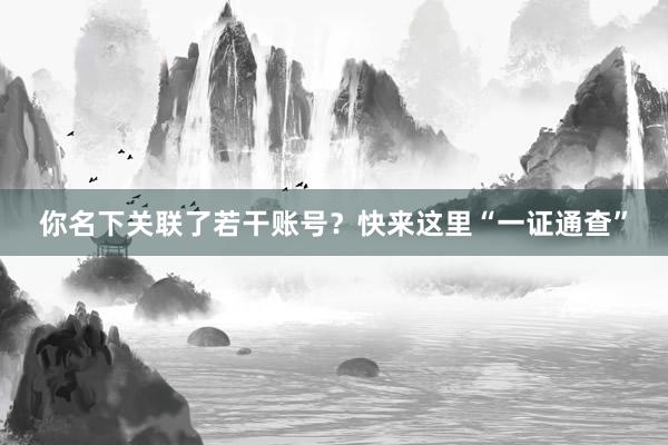 你名下关联了若干账号？快来这里“一证通查”