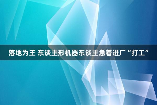 落地为王 东谈主形机器东谈主急着进厂“打工”