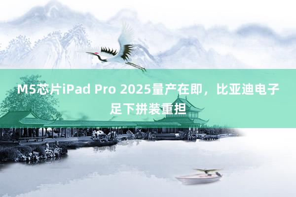 M5芯片iPad Pro 2025量产在即，比亚迪电子足下拼装重担