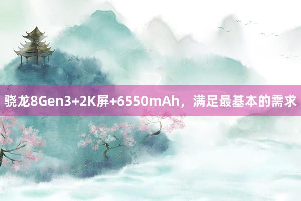 骁龙8Gen3+2K屏+6550mAh，满足最基本的需求