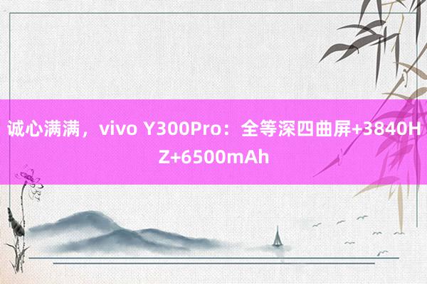 诚心满满，vivo Y300Pro：全等深四曲屏+3840HZ+6500mAh