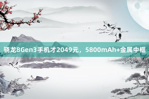 骁龙8Gen3手机才2049元，5800mAh+金属中框