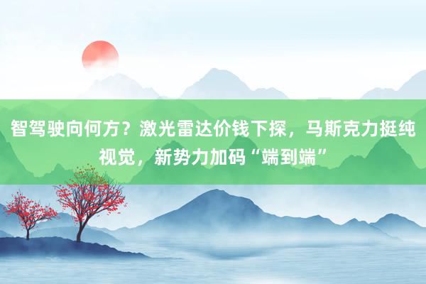 智驾驶向何方？激光雷达价钱下探，马斯克力挺纯视觉，新势力加码“端到端”