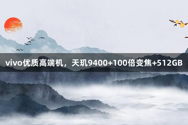 vivo优质高端机，天玑9400+100倍变焦+512GB