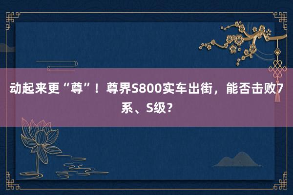 动起来更“尊”！尊界S800实车出街，能否击败7系、S级？