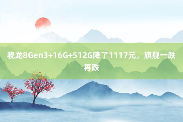 骁龙8Gen3+16G+512G降了1117元，旗舰一跌再跌