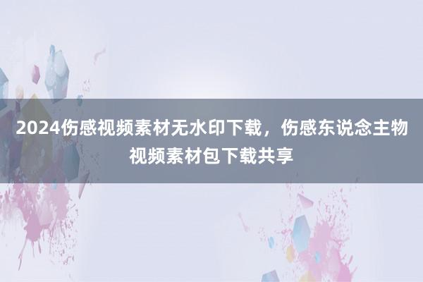 2024伤感视频素材无水印下载，伤感东说念主物视频素材包下载共享