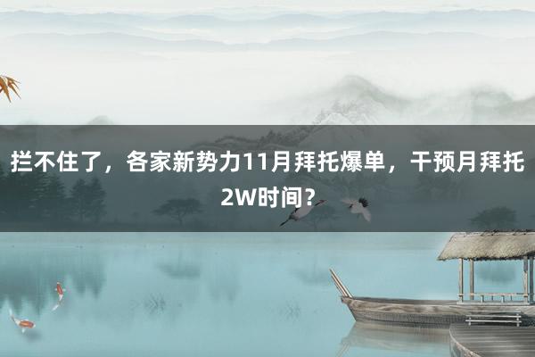 拦不住了，各家新势力11月拜托爆单，干预月拜托2W时间？