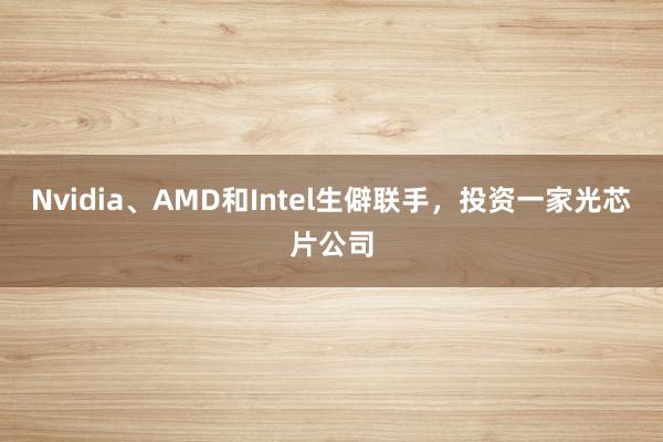 Nvidia、AMD和Intel生僻联手，投资一家光芯片公司