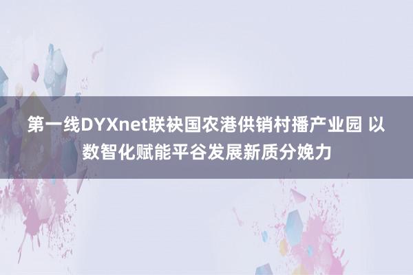 第一线DYXnet联袂国农港供销村播产业园 以数智化赋能平谷发展新质分娩力