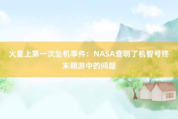 火星上第一次坠机事件：NASA查明了机智号终末翱游中的问题