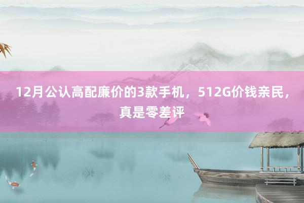 12月公认高配廉价的3款手机，512G价钱亲民，真是零差评