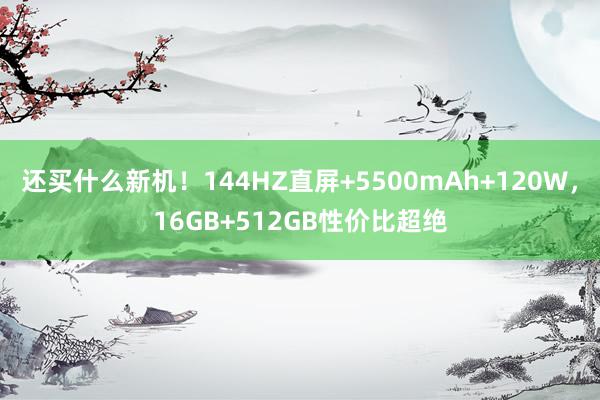 还买什么新机！144HZ直屏+5500mAh+120W，16GB+512GB性价比超绝