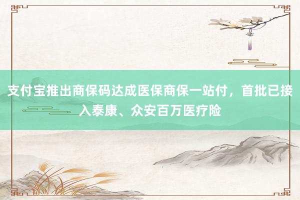 支付宝推出商保码达成医保商保一站付，首批已接入泰康、众安百万医疗险