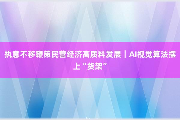 执意不移鞭策民营经济高质料发展｜AI视觉算法摆上“货架”