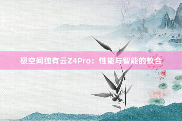 极空间独有云Z4Pro：性能与智能的蚁合