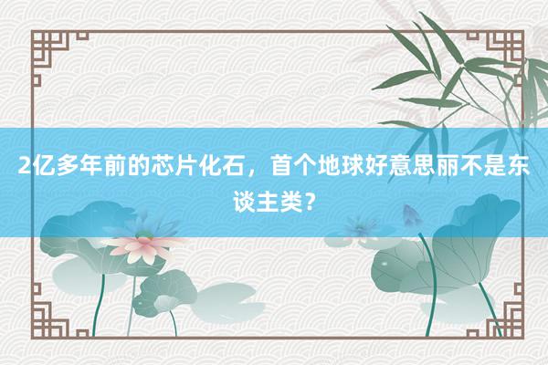 2亿多年前的芯片化石，首个地球好意思丽不是东谈主类？