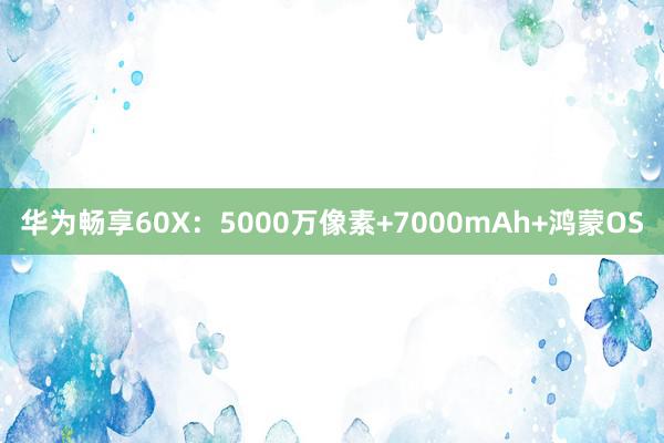 华为畅享60X：5000万像素+7000mAh+鸿蒙OS