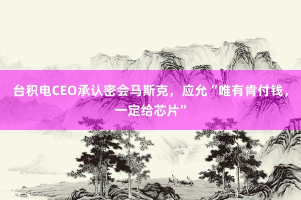 台积电CEO承认密会马斯克，应允“唯有肯付钱，一定给芯片”