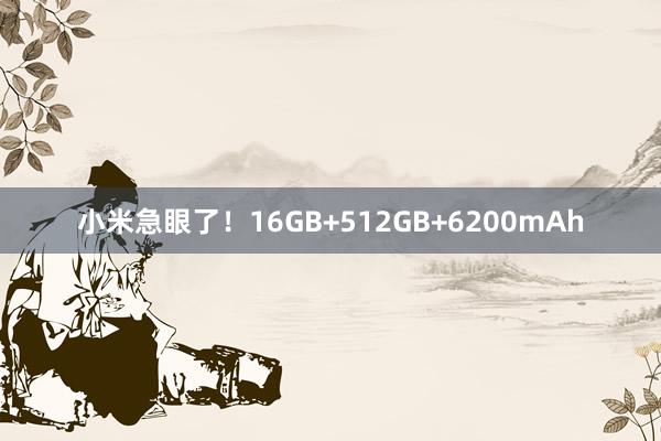 小米急眼了！16GB+512GB+6200mAh