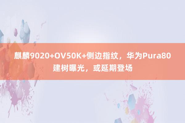 麒麟9020+OV50K+侧边指纹，华为Pura80建树曝光，或延期登场