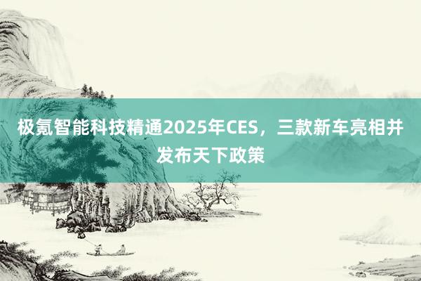 极氪智能科技精通2025年CES，三款新车亮相并发布天下政策