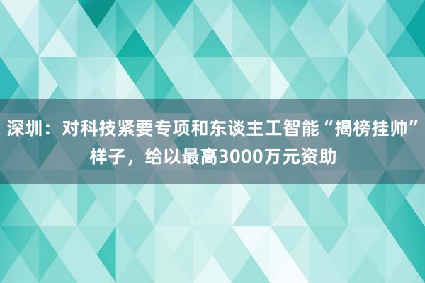 深圳：对科技紧要专项和东谈主工智能“揭榜挂帅”样子，给以最高3000万元资助