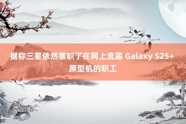 据称三星依然罢职了在网上流露 Galaxy S25+ 原型机的职工