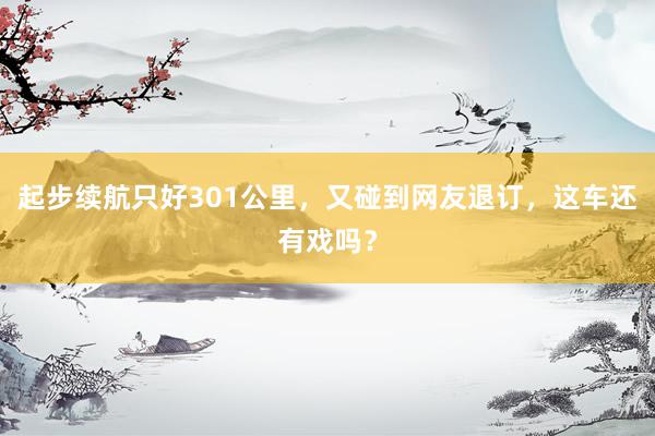 起步续航只好301公里，又碰到网友退订，这车还有戏吗？