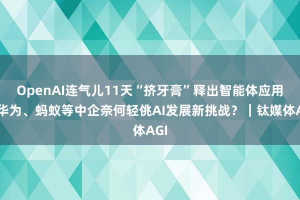 OpenAI连气儿11天“挤牙膏”释出智能体应用，华为、蚂蚁等中企奈何轻佻AI发展新挑战？｜钛媒体AGI