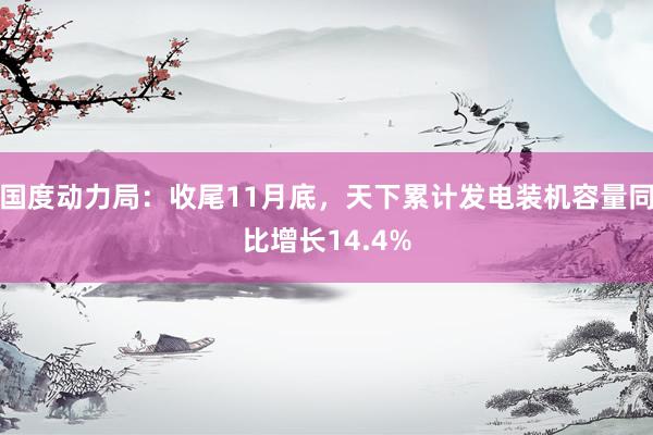 国度动力局：收尾11月底，天下累计发电装机容量同比增长14.4%