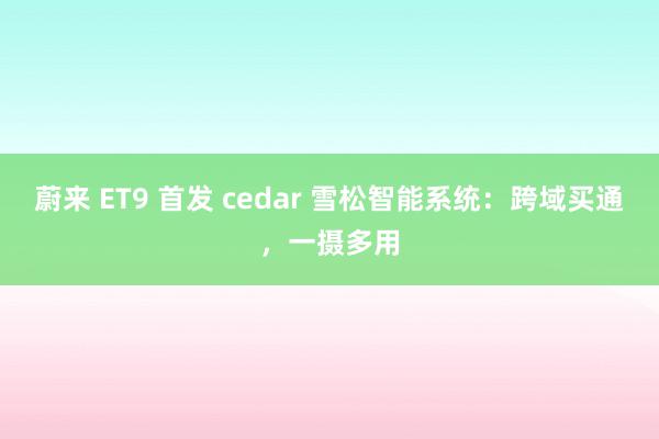 蔚来 ET9 首发 cedar 雪松智能系统：跨域买通，一摄多用