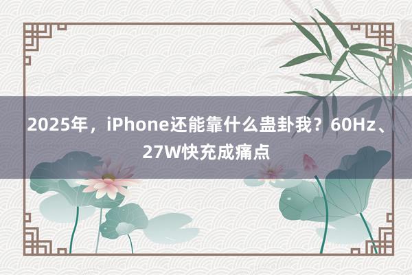 2025年，iPhone还能靠什么蛊卦我？60Hz、27W快充成痛点