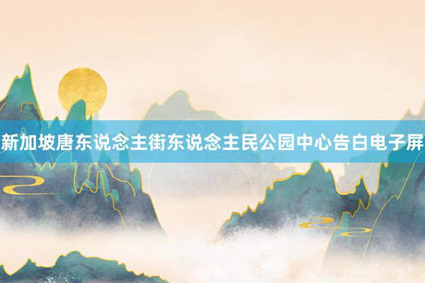 新加坡唐东说念主街东说念主民公园中心告白电子屏