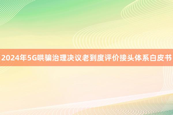 2024年5G哄骗治理决议老到度评价接头体系白皮书