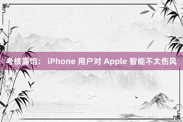 考核露馅： iPhone 用户对 Apple 智能不太伤风