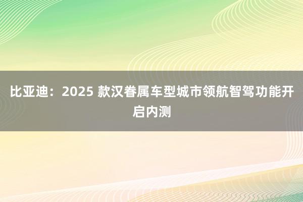 比亚迪：2025 款汉眷属车型城市领航智驾功能开启内测