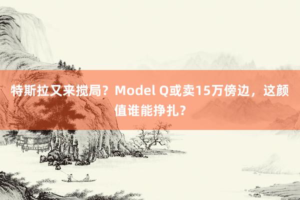 特斯拉又来搅局？Model Q或卖15万傍边，这颜值谁能挣扎？