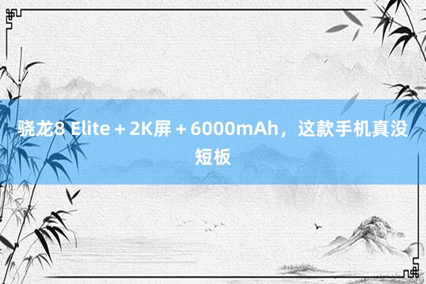 骁龙8 Elite＋2K屏＋6000mAh，这款手机真没短板