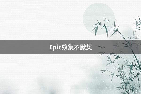 Epic蚁集不默契