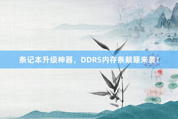 条记本升级神器，DDR5内存条颠簸来袭！